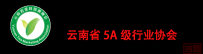 【协会动态】2024“一带一路”商协会大会在福州开幕