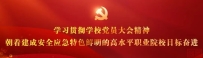 我校学子荣获一带一路暨金砖国家技能发展与技术创新大赛数字工厂仿真与智能制造设计制作决赛荣誉
