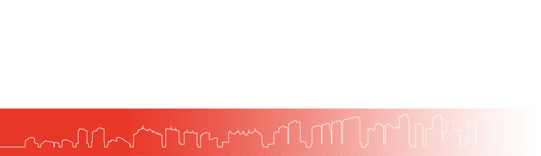 林少华主席应邀出席首届 “一带一路” 华侨华人合作发展大会