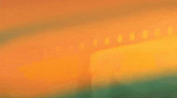 “一带一路”电影巡展丨《翠湖》《植物学家》将亮相米什科尔茨国际电影节