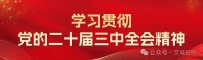 【“习”语金句】共建“一带一路”汇集着人类共同发展的最大公约数