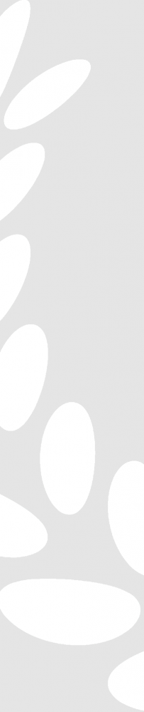 龚韵洁| “一带一路”与中拉合作:对接发展的机遇与挑战———访《丝绸之路与巴拿马》作者埃迪·塔皮埃罗