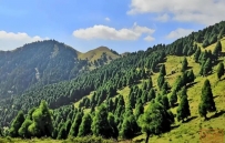 共建“一带一路”,推动国际社会深化绿色合作