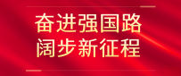 2024年河北对共建“一带一路”国家进出口同比增长8.2%