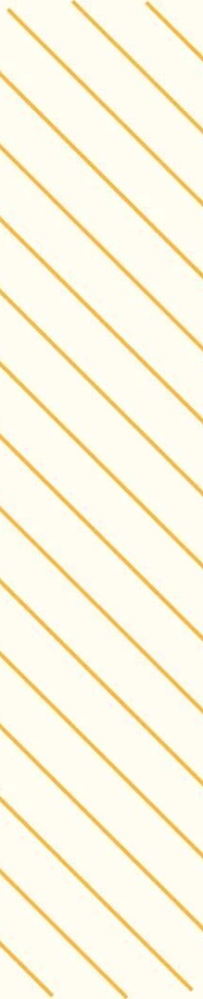 我校召开麻醉学本科人才培养模式在“一带一路”国家应用协调会