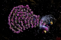 第五届“一带一路”共建国家“金丝路”摄影奖获奖作品展示(二)